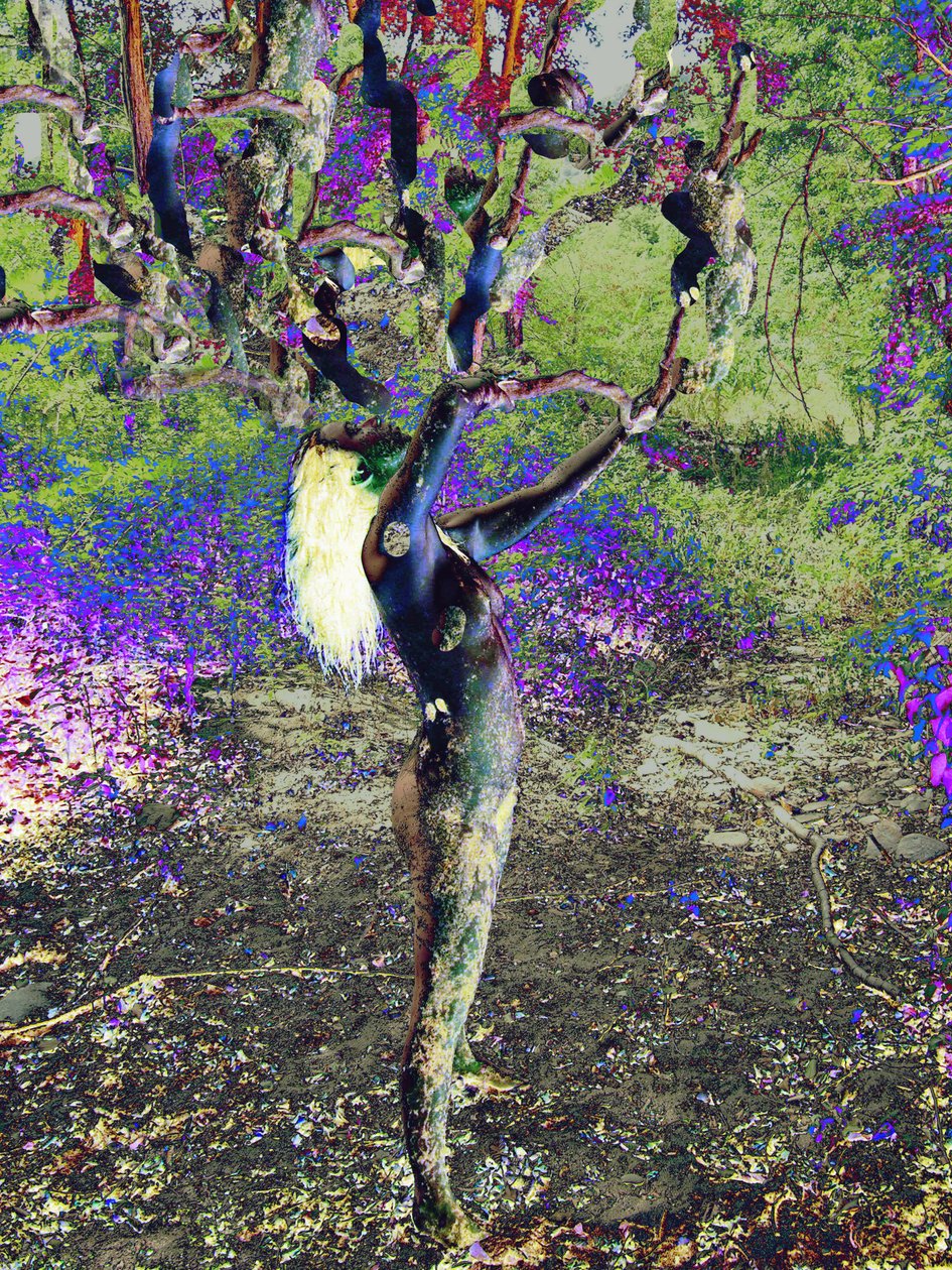 Blauer Baum von Joseph Angilella Auquier