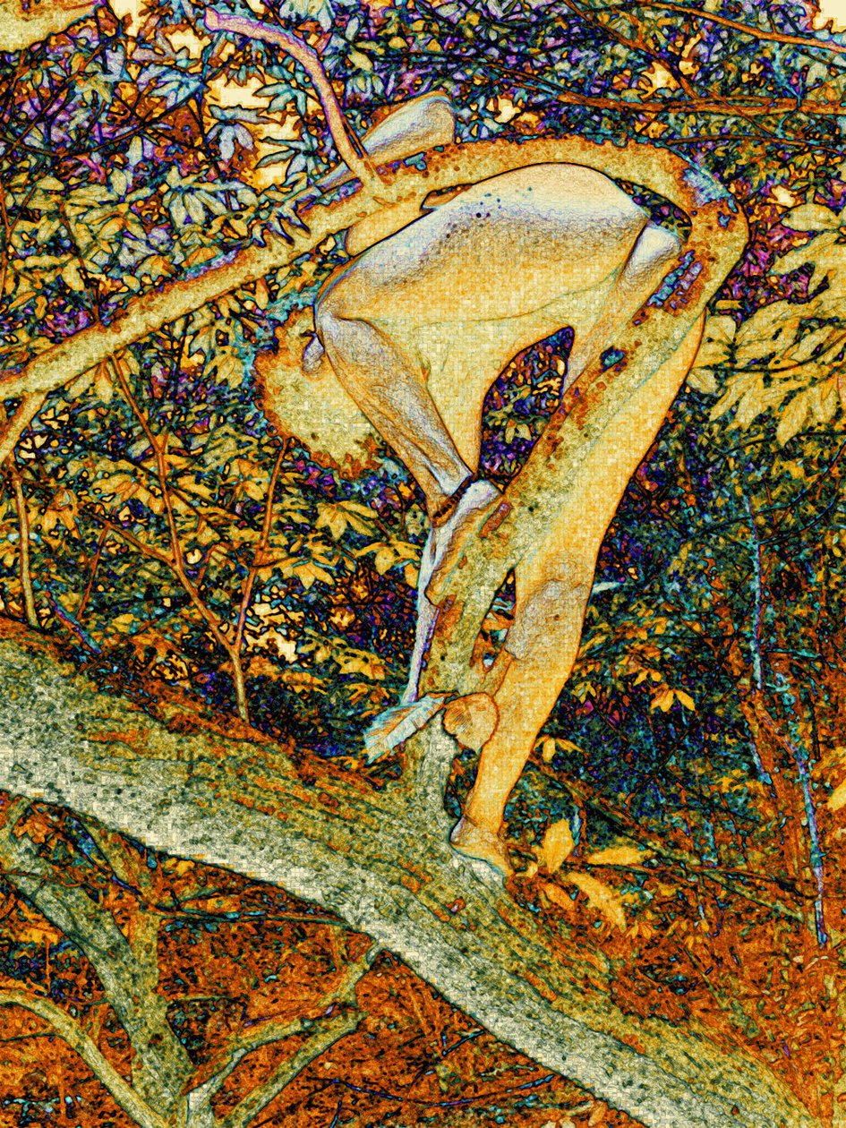 Im Baum von Joseph Angilella Auquier