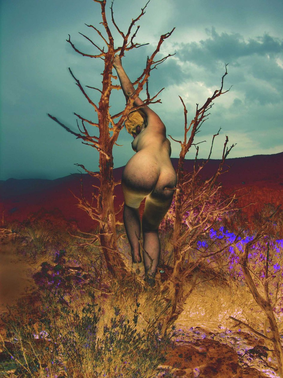 Im Baum von Joseph Angilella Auquier