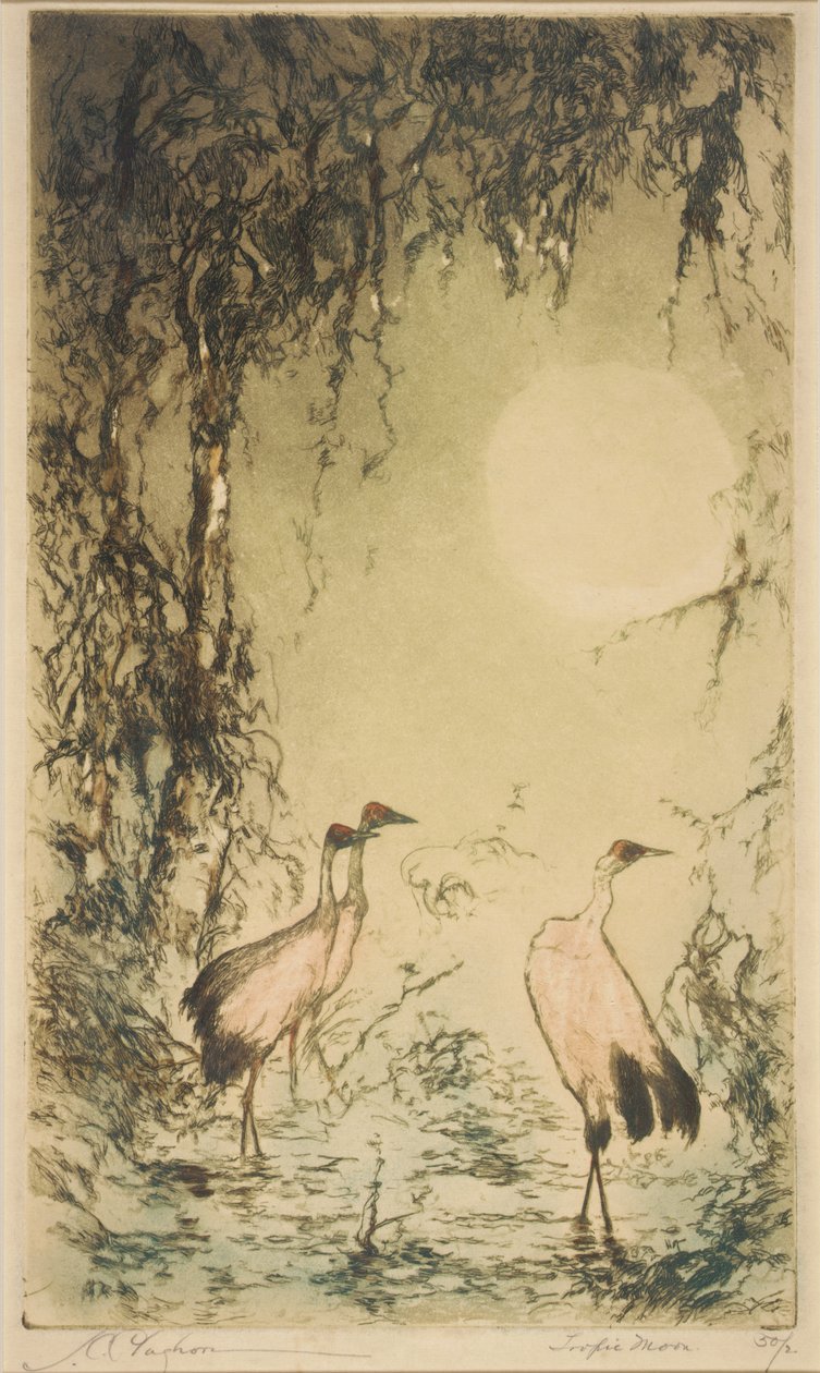 Tropischer Mond von Joseph C. Claghorn