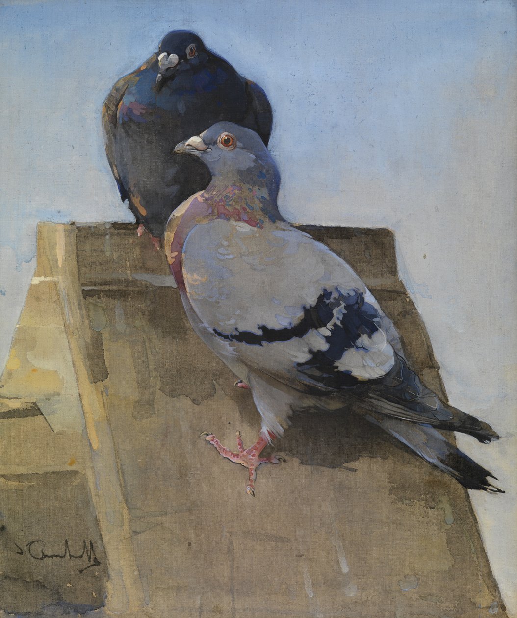 Tauben auf dem Dach von Joseph Crawhall