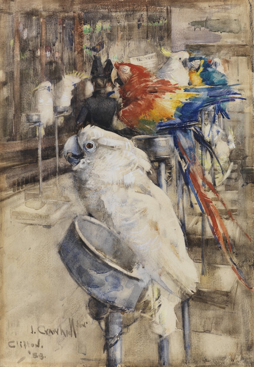 Die Voliere, Clifton von Joseph Crawhall