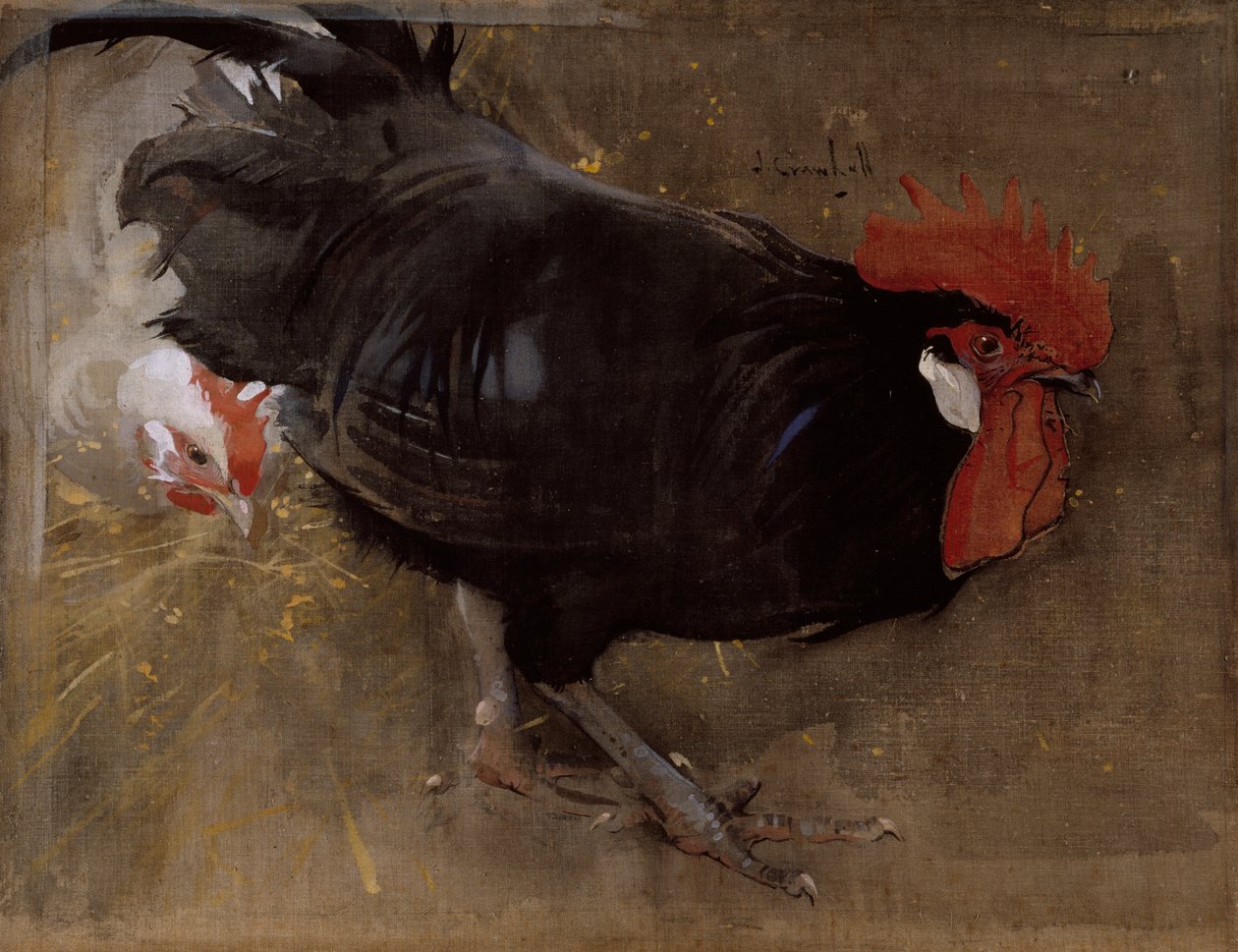 Der schwarze Hahn von Joseph Crawhall
