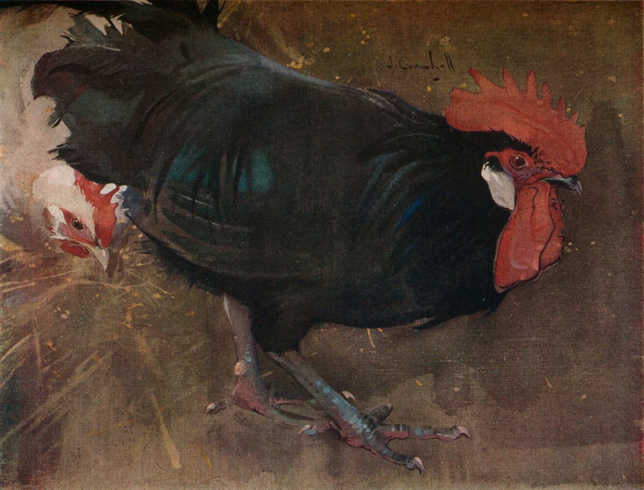 Der schwarze Hahn, ca. 1894 von Joseph Crawhall