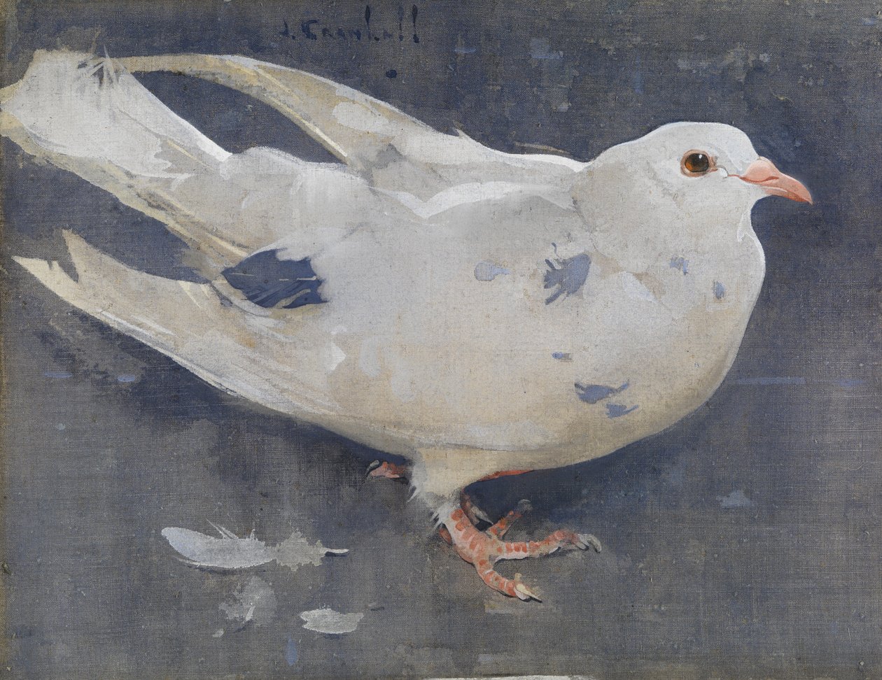 Die Taube von Joseph Crawhall