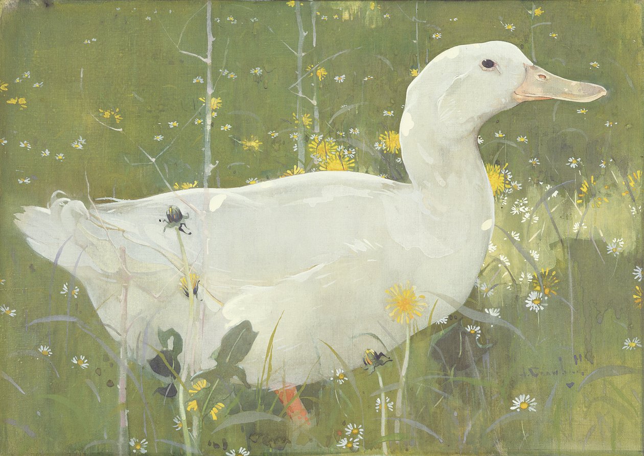 Der weiße Erpel von Joseph Crawhall