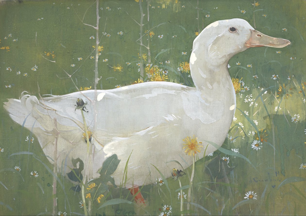Der weiße Erpel von Joseph Crawhall