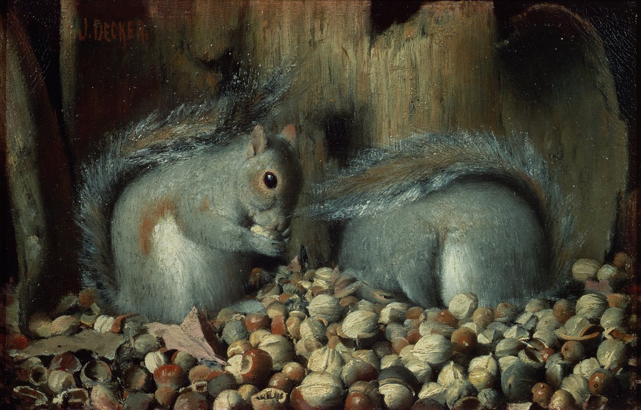 Die Vielfraße (Eichhörnchen) von Joseph Decker