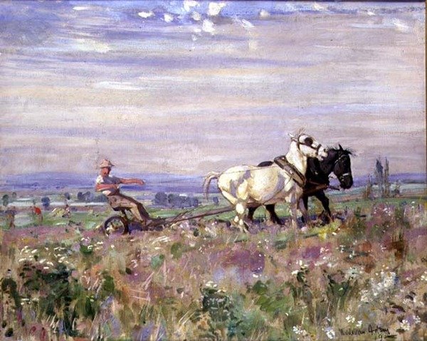 Das Pflugteam von Joseph Denovan II Adam
