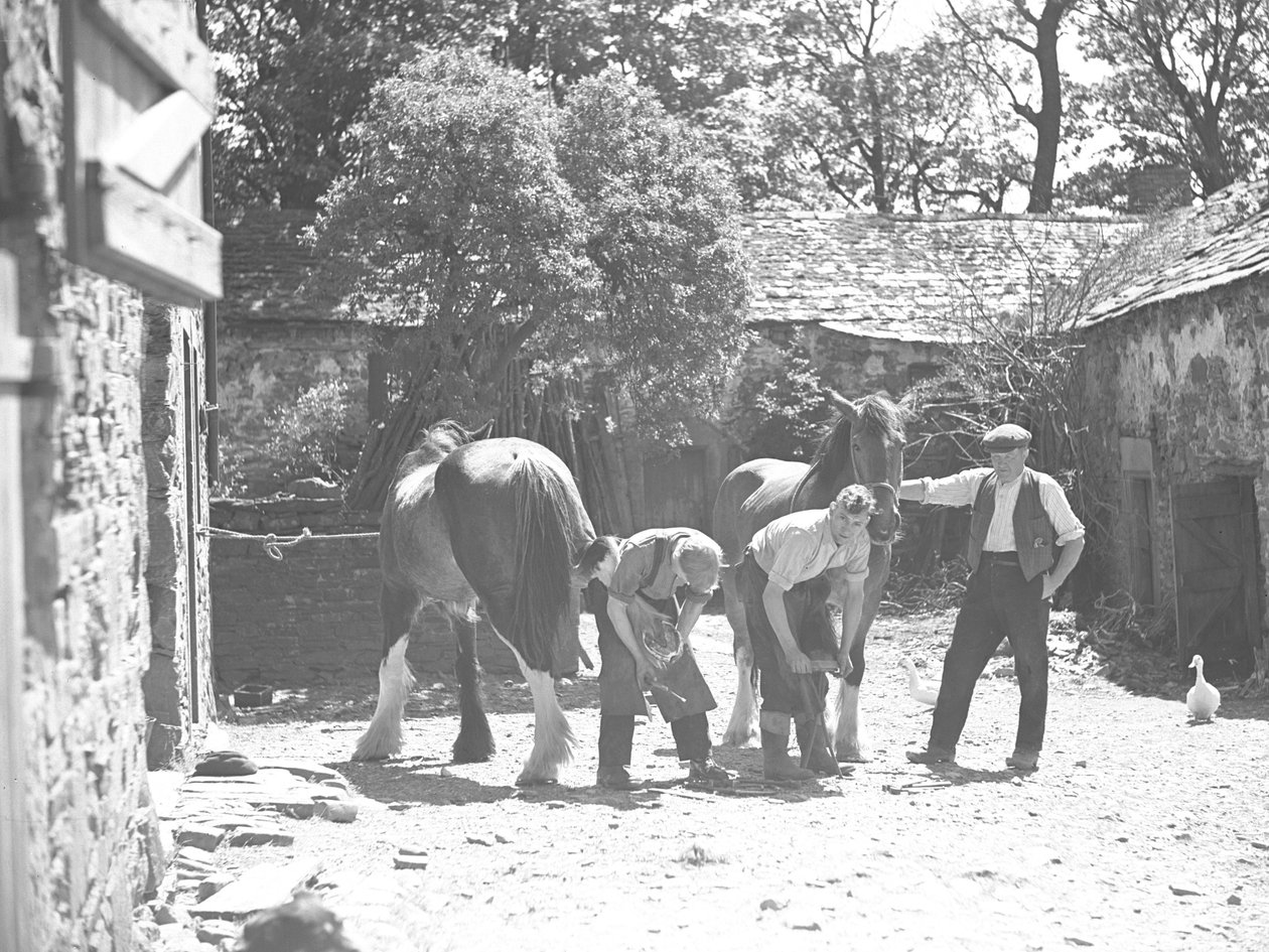 Hufschmied beschlägt Pferd von Joseph Hardman