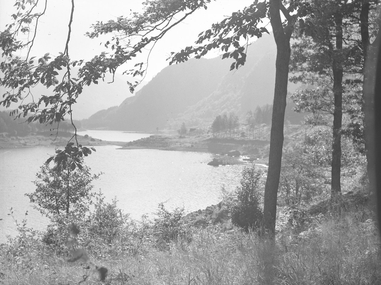 Thirlmere durch Baumzweige von Joseph Hardman