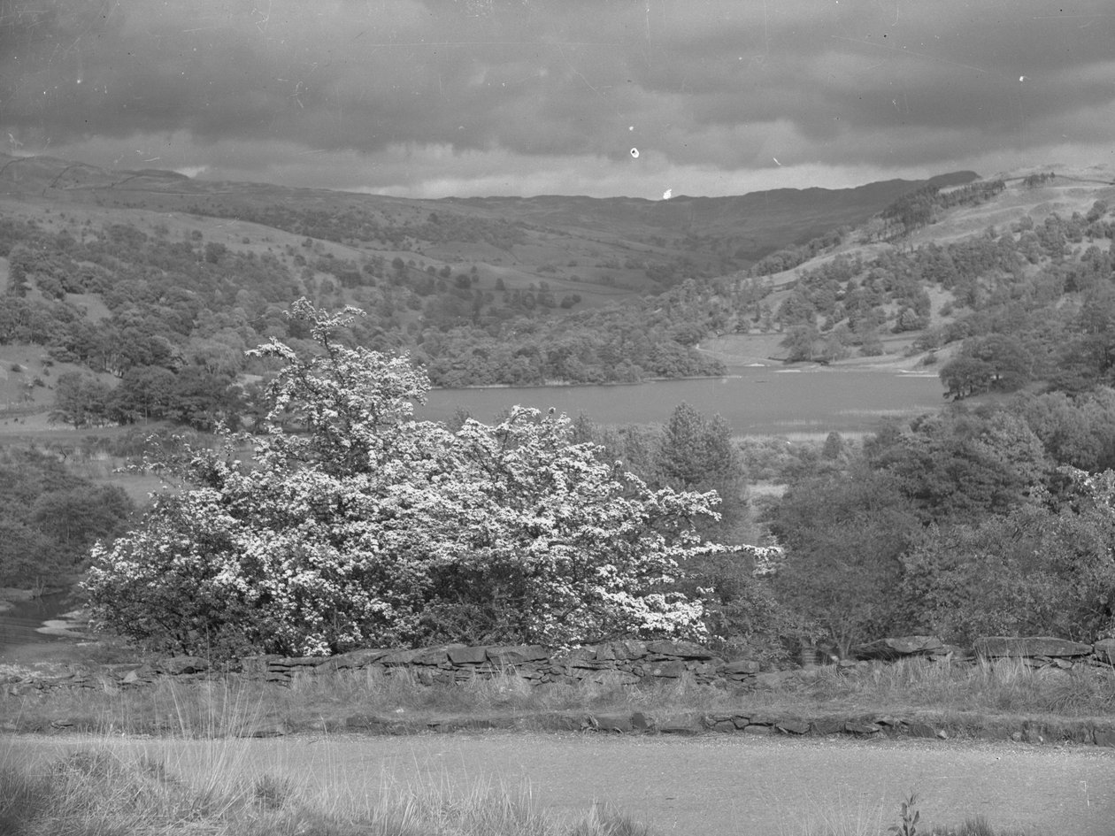 Blick über einen See bei Rydal von Joseph Hardman