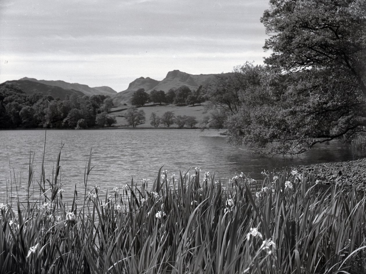 Blick über Loughrigg Tarn von Joseph Hardman
