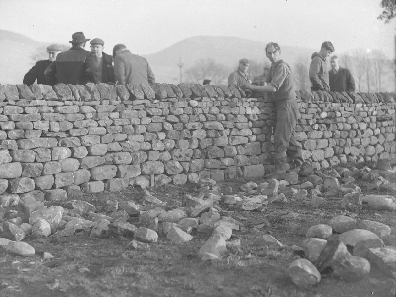 Mauerer arbeiten an Trockenmauer von Joseph Hardman