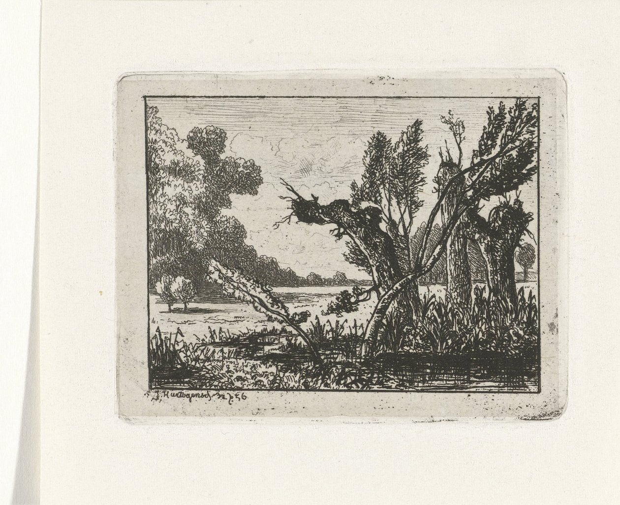 Kopfweiden von Joseph Hartogensis