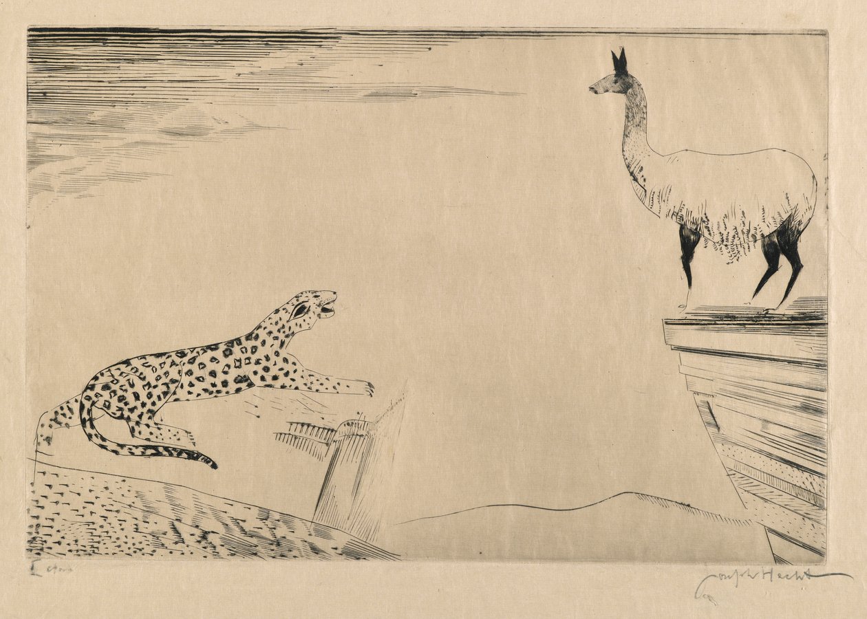 Jaguar und Lama von Joseph Hecht