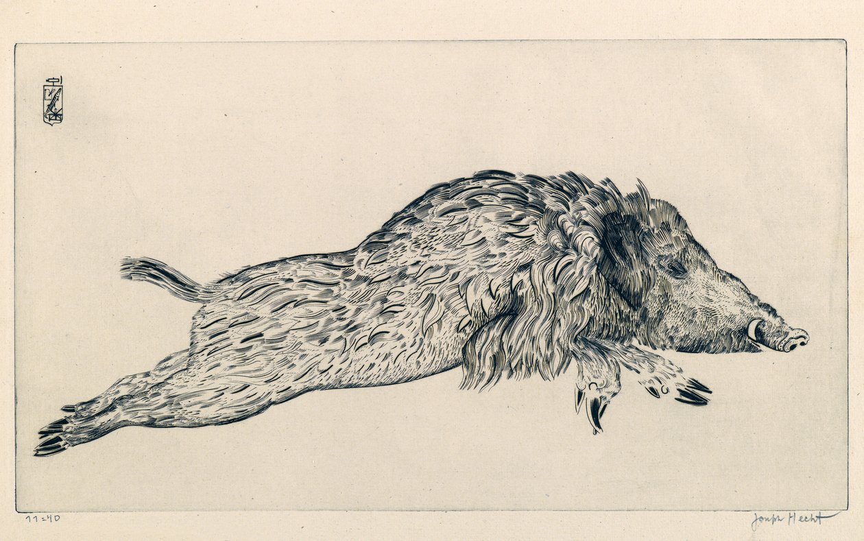 Wildschwein (Le Sanglier) (Gravur) von Joseph Hecht