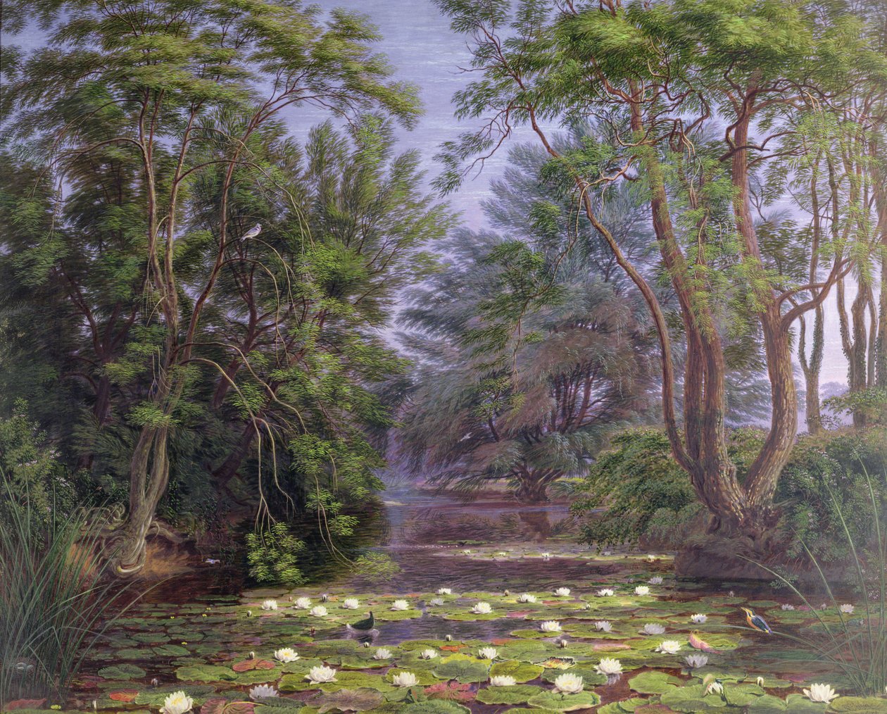 Fluss Cherwell Seerosen von Joseph Mallord William Turner