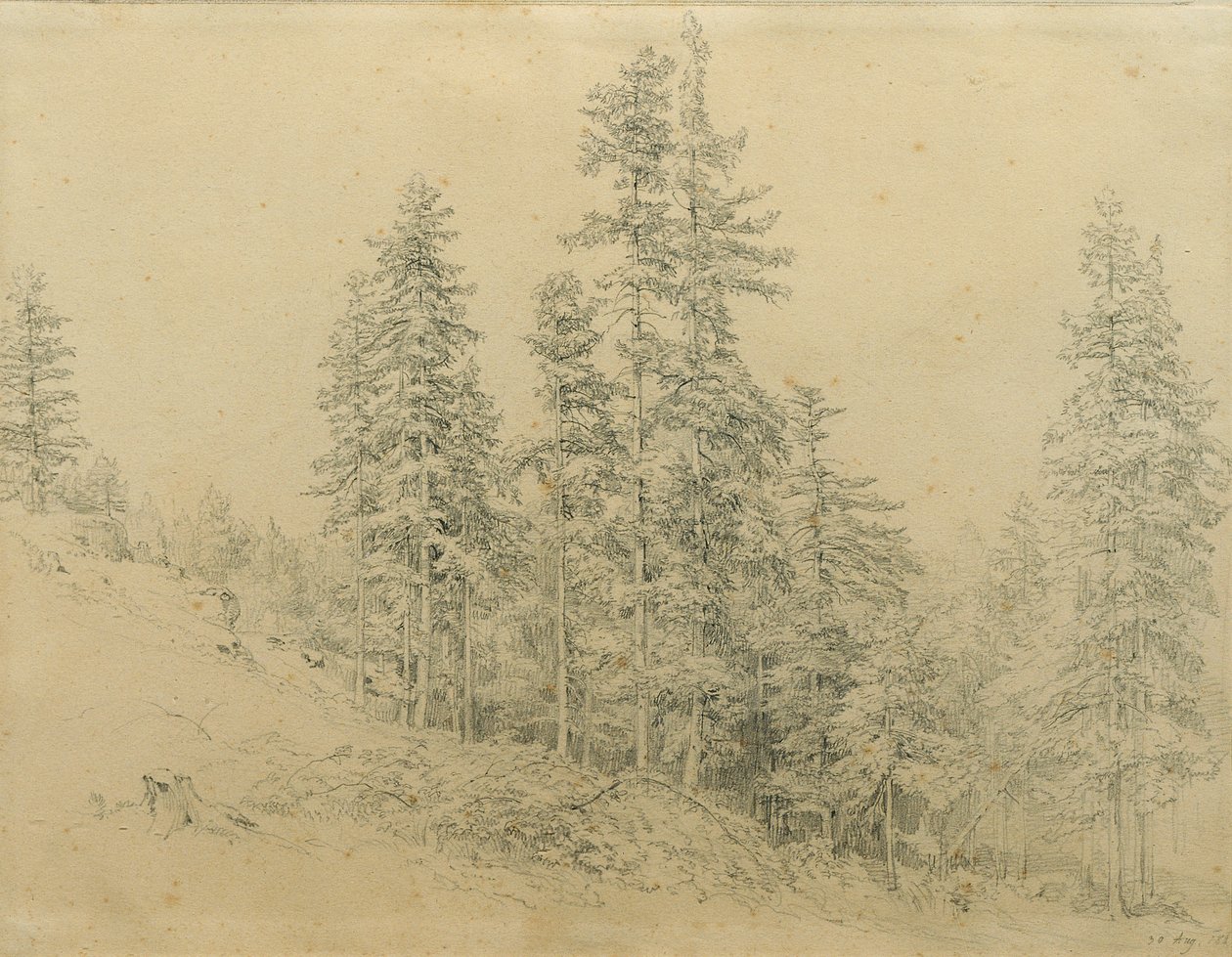 Edeltann von Joseph Martin Höger