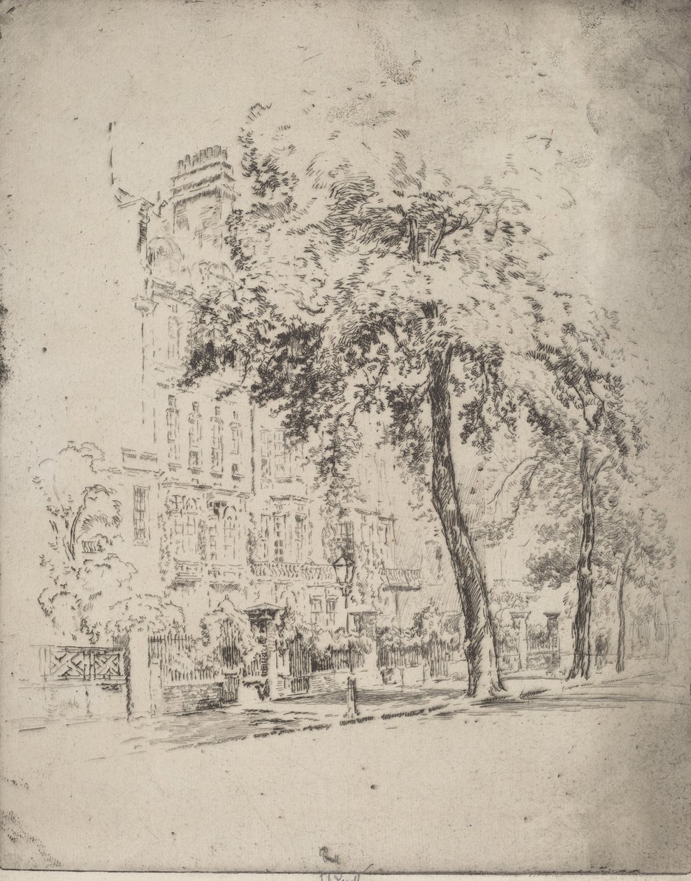 Großer Baum, Cheyne Walk, 1906 von Joseph Pennell
