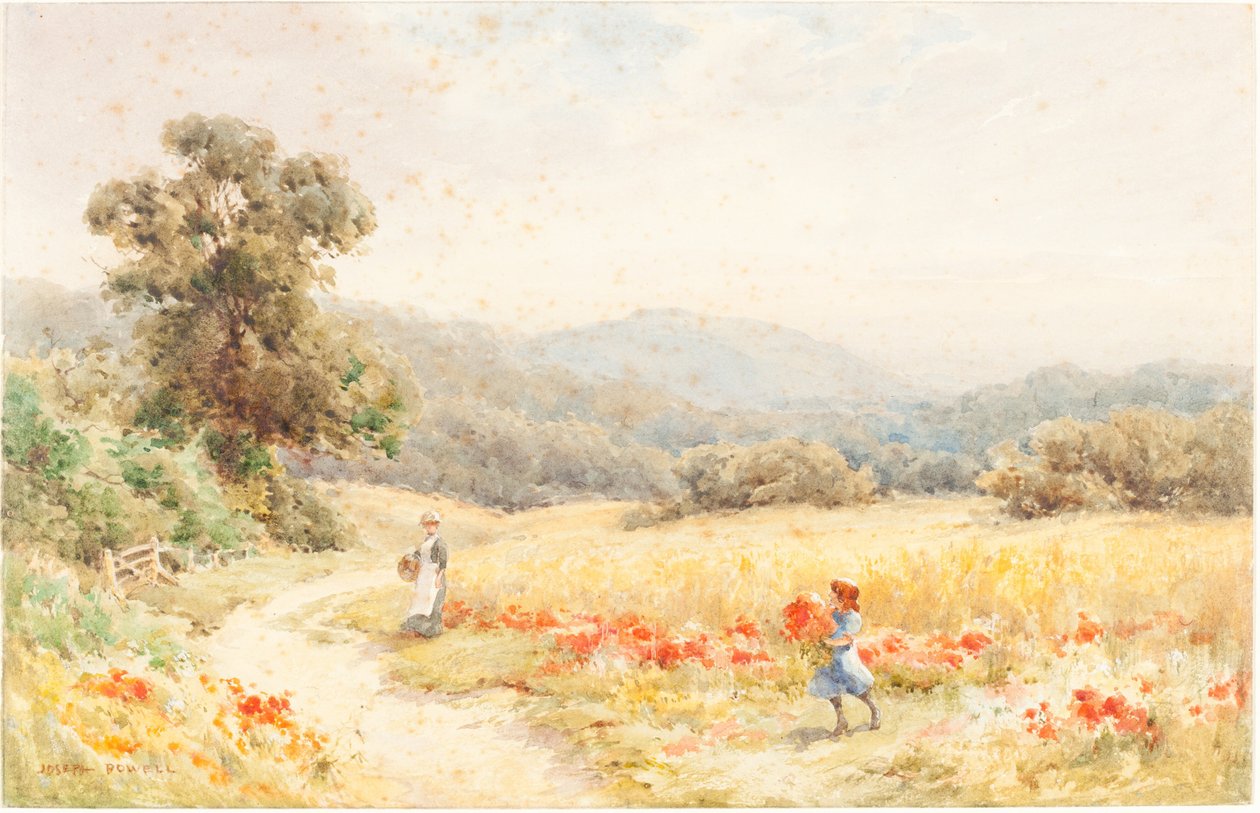 Sommer von Joseph Rubens Powell