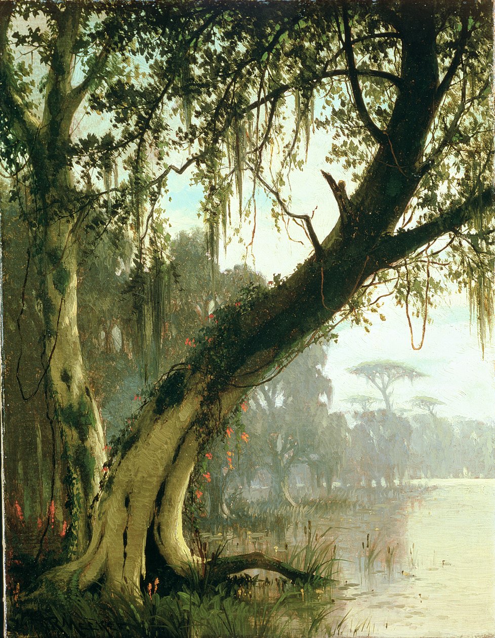 Im Bayou von Joseph Rusling Meeker
