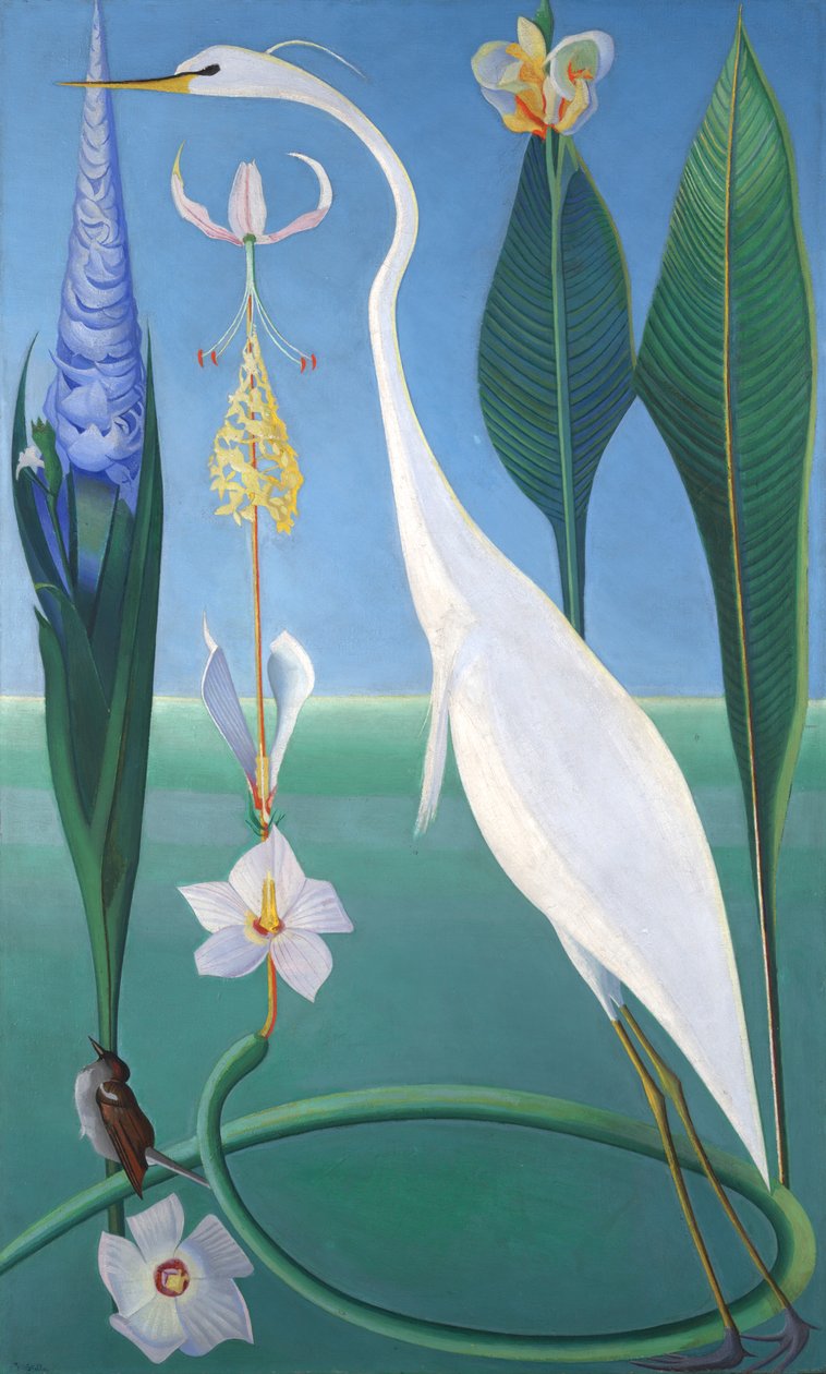 Der weiße Reiher von Joseph Stella