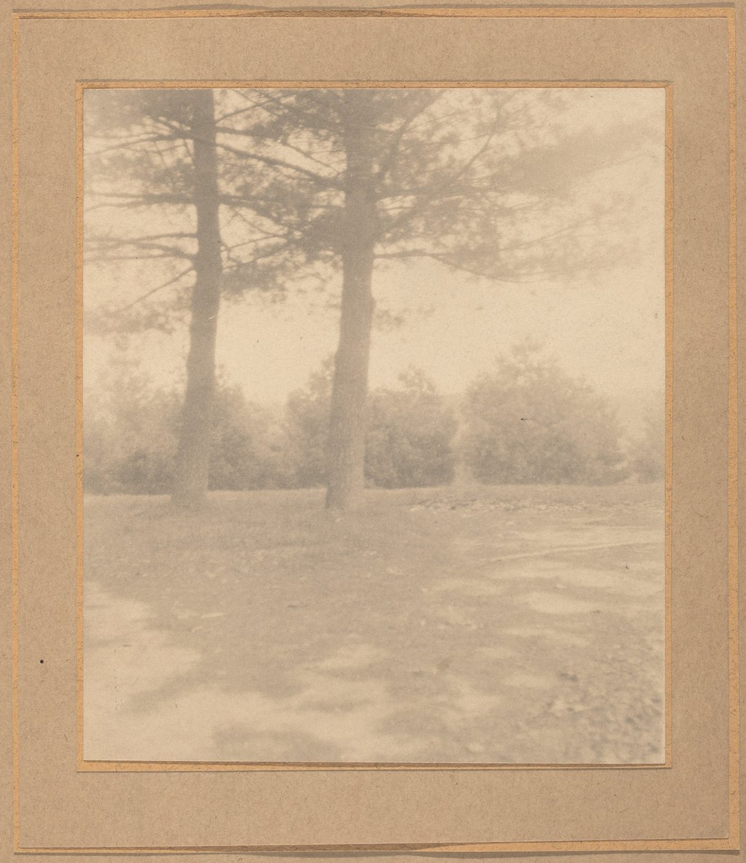 Landschaft mit Bäumen von Joseph T. Keiley