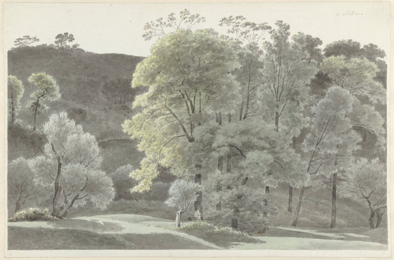 Bäume in der Umgebung von Subiaco von Josephus Augustus Knip