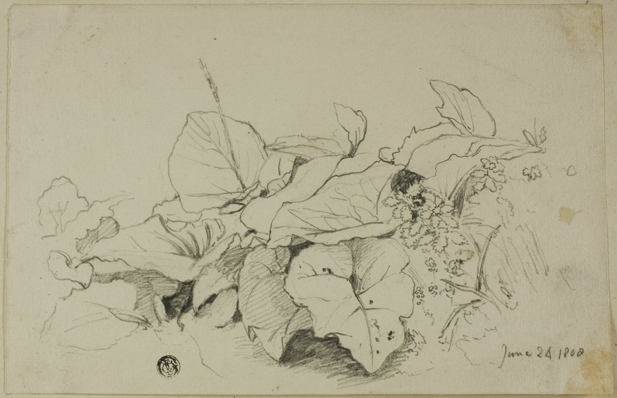 Büschel von Blättern und Blumen von Joshua Cristall