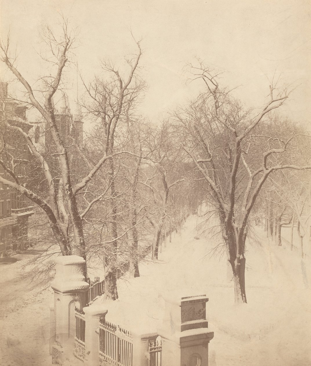 Boston Common Schneeszene, 1850er Jahre (Foto) von Josiah Johnson Hawes