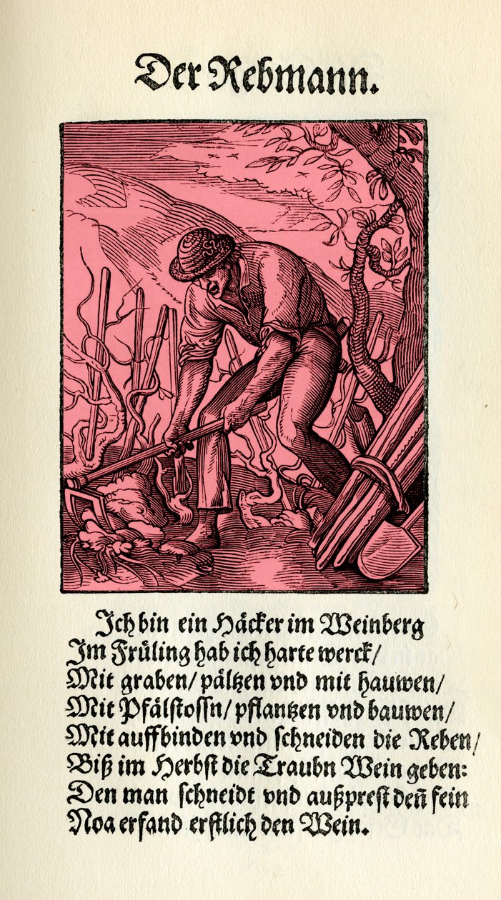 Der Winzer von Jost (after) Amman