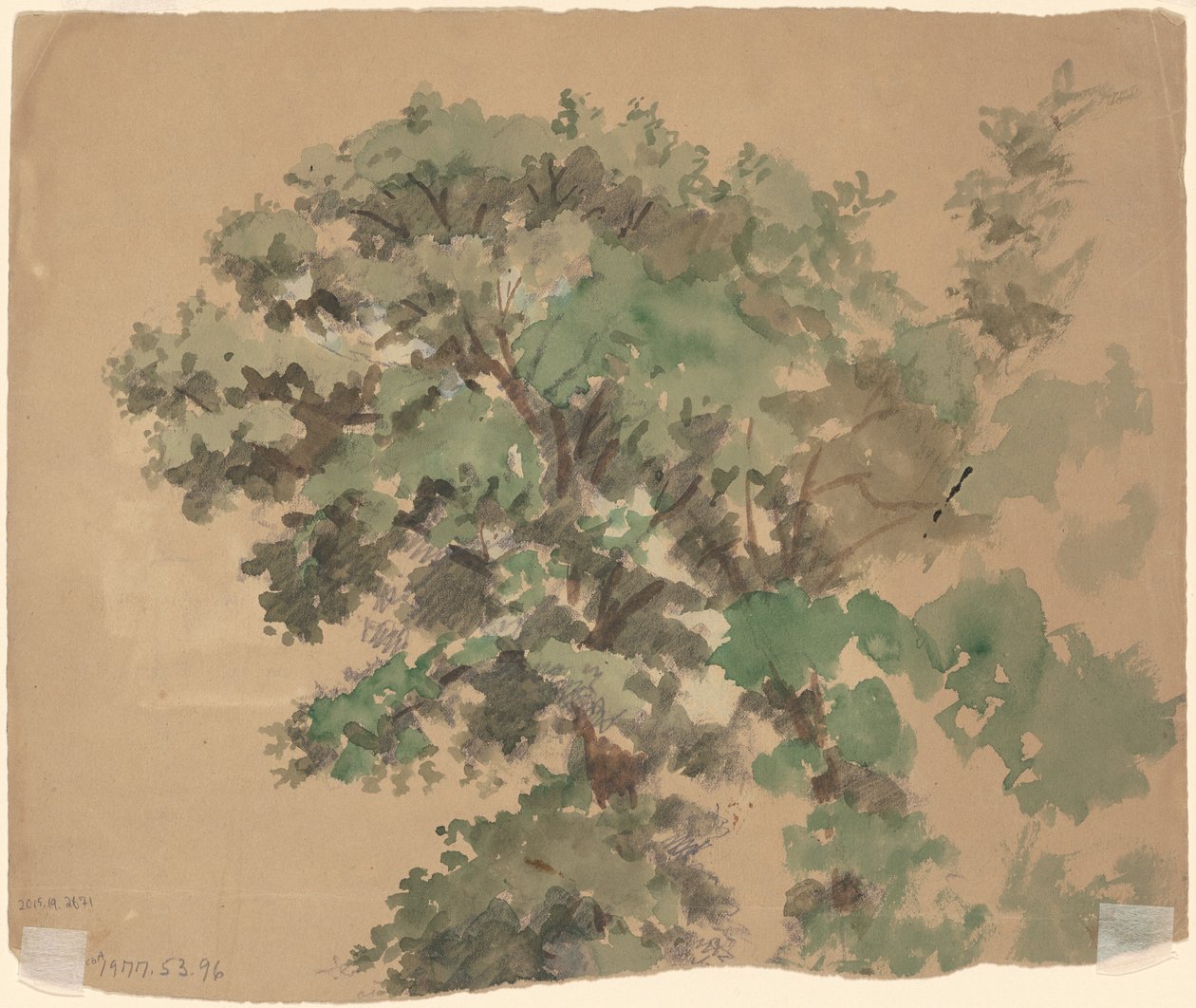 Baum [verso] von Jr. Enoch Wood Perry