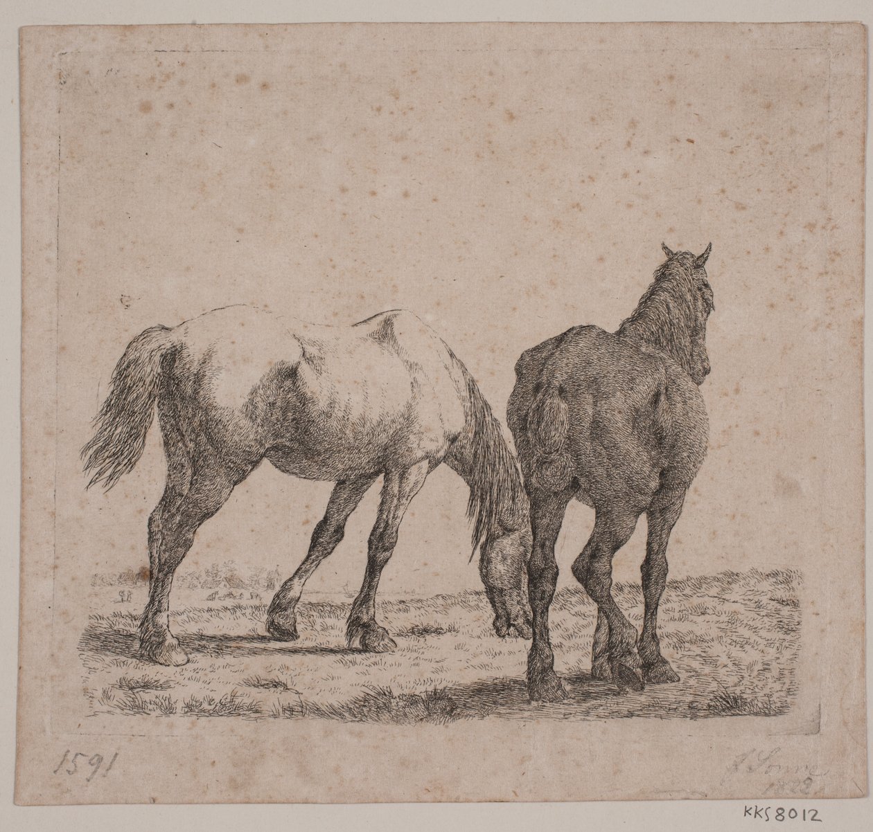 Zwei Pferde von Jørgen V. Sonne