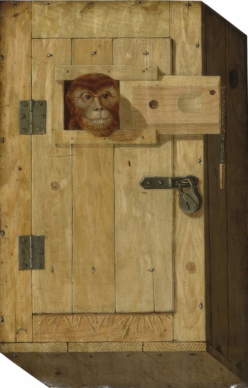 Affe in einer Holzkiste von Jòsef Trajtler