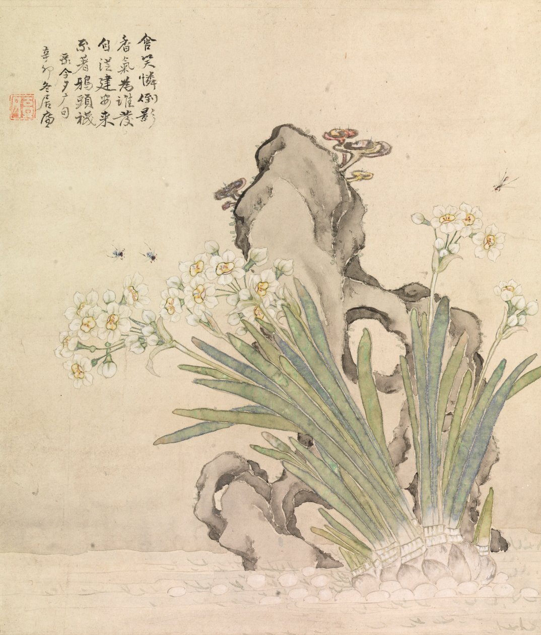 Narzisse, Felsen, Bienen und Linghzhi von Ju Lian