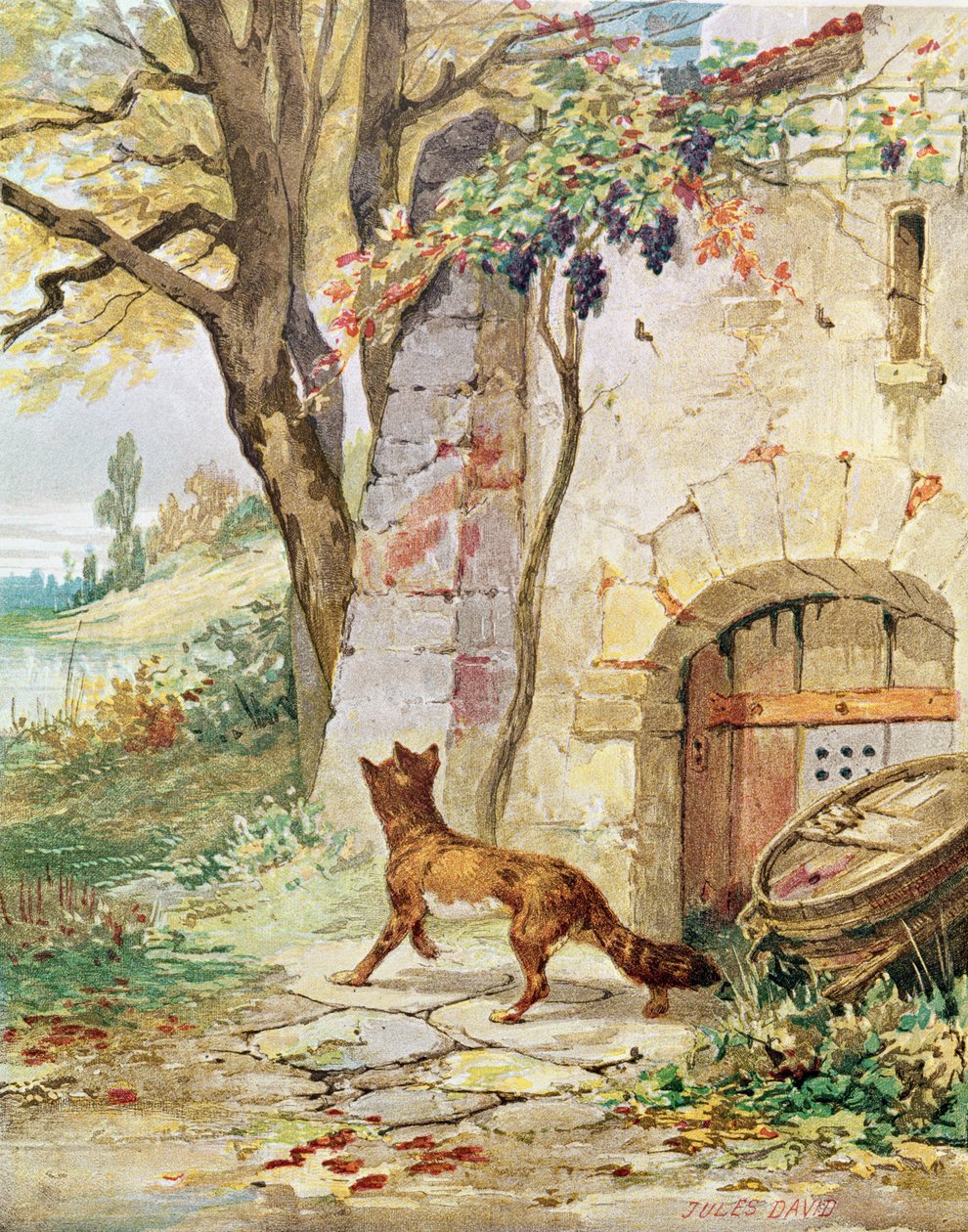 Der Fuchs und die Trauben, Illustration für 