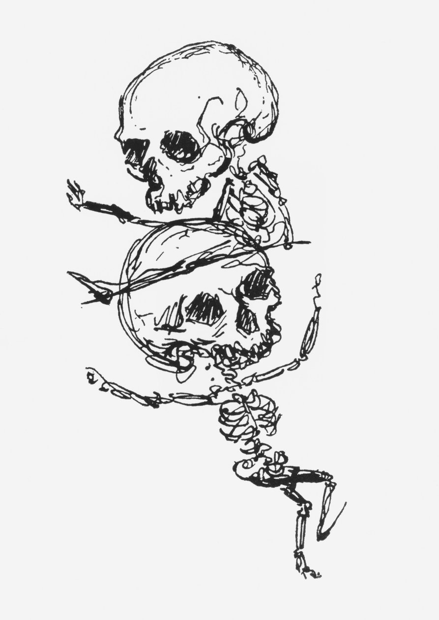 Skelette, Illustration aus 