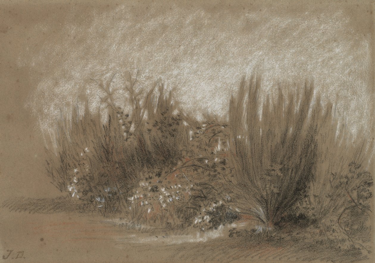 Ginster und Brombeeren von Jules Dupré