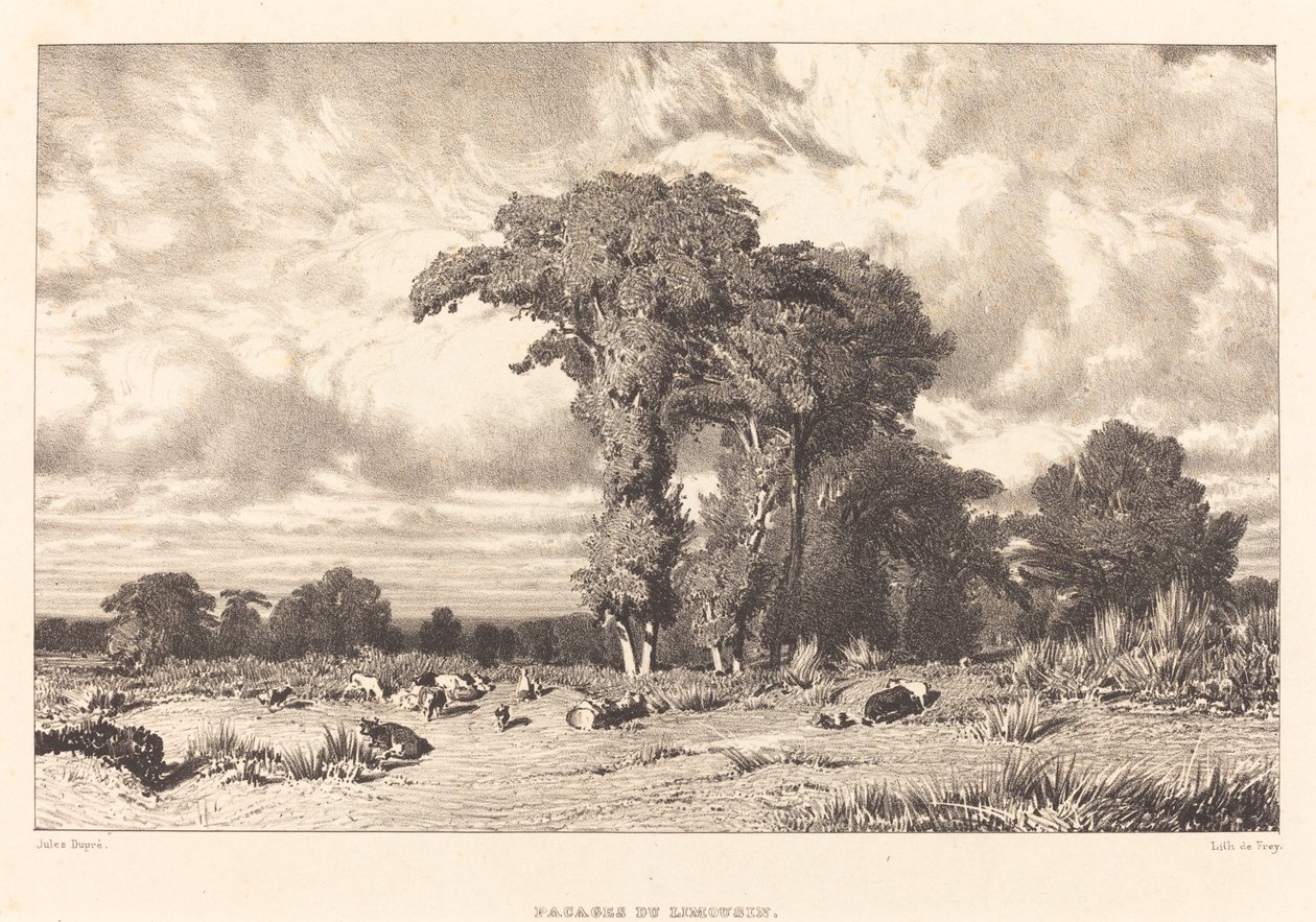 Weiden von Limousin von Jules Dupré