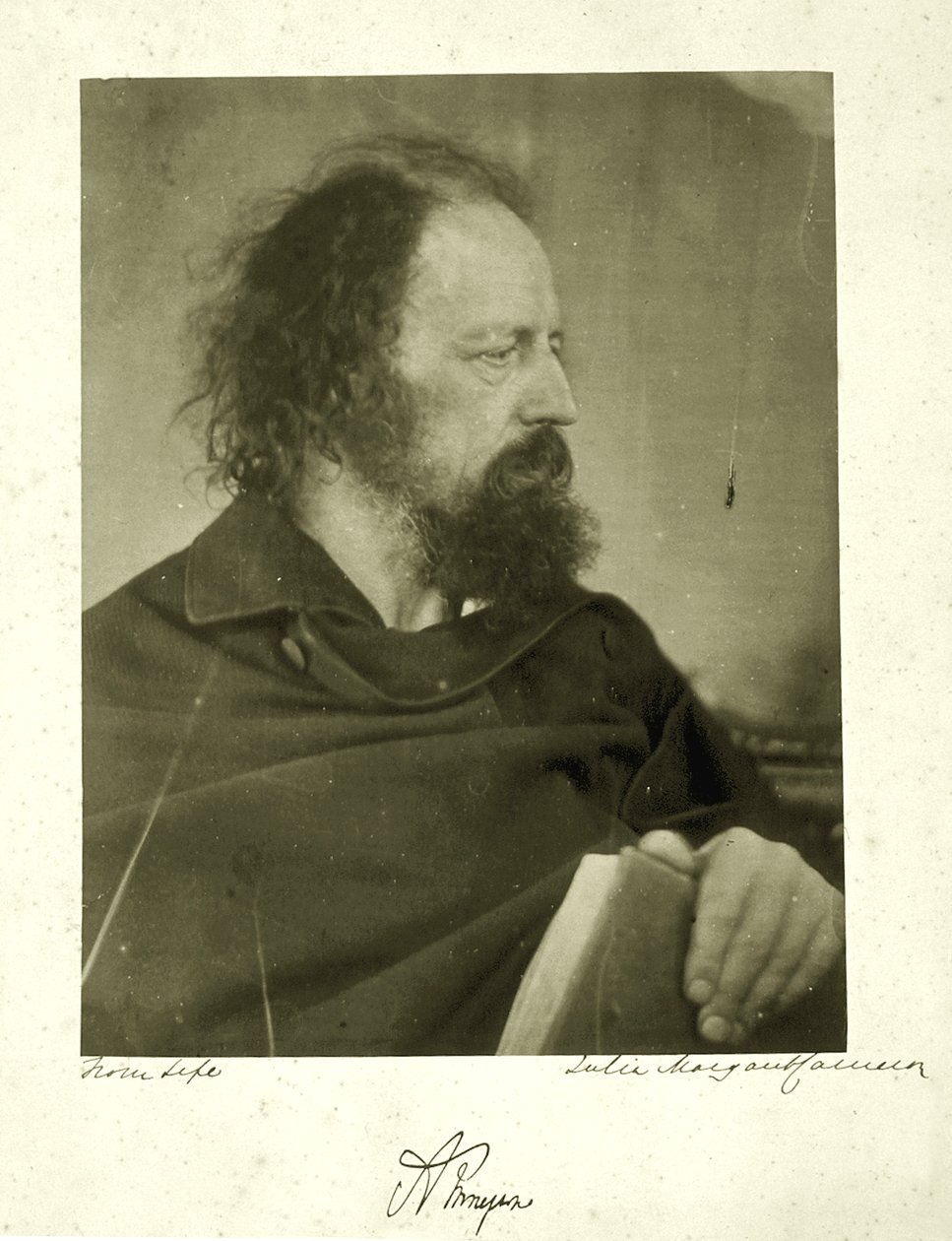 Alfred Tennyson, der schmutzige Mönch, 1865 (Albuminabzug) von Julia Margaret Cameron