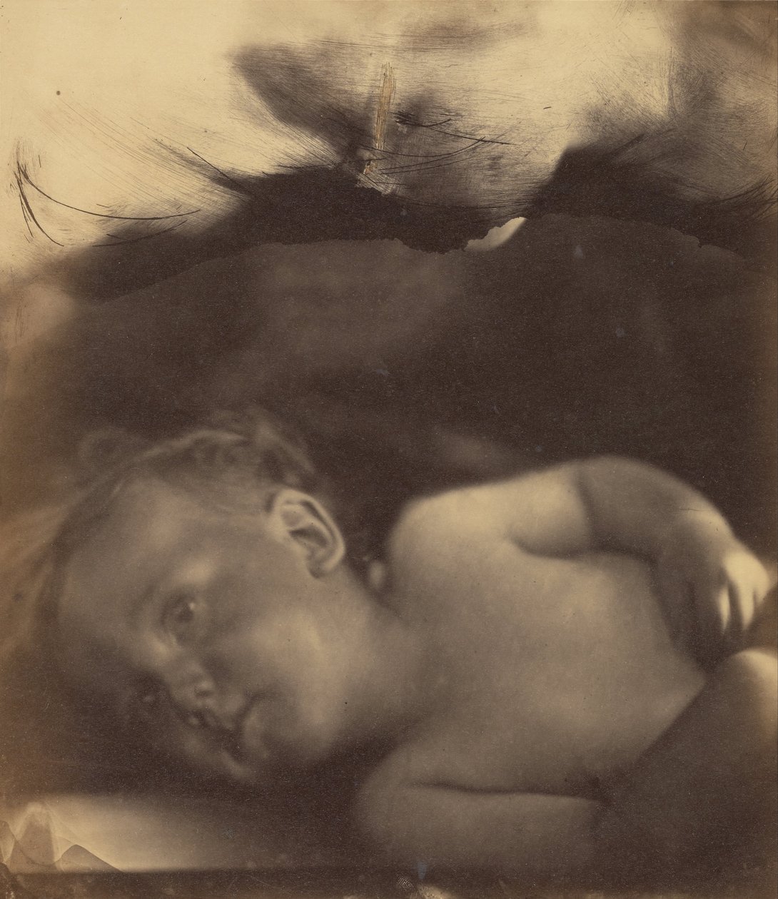 Die Vision des kleinen Samuel von Julia Margaret Cameron