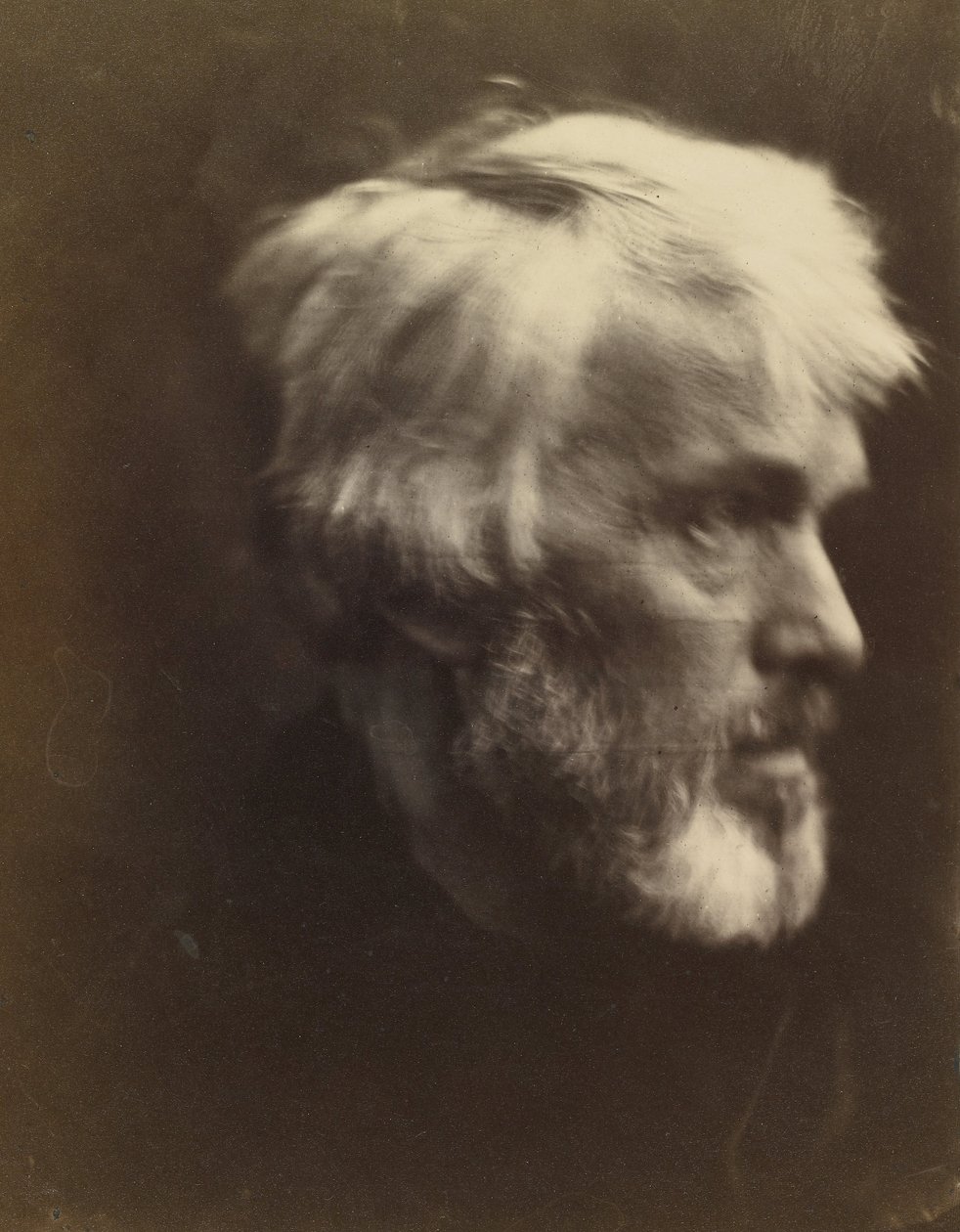 Thomas Carlyle (1795) von Julia Margaret Cameron