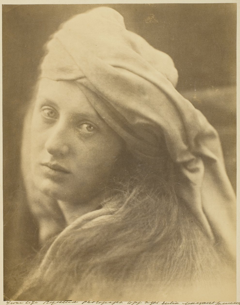 Eine Studie der Beatrice Cenci von Julia Margaret Cameron