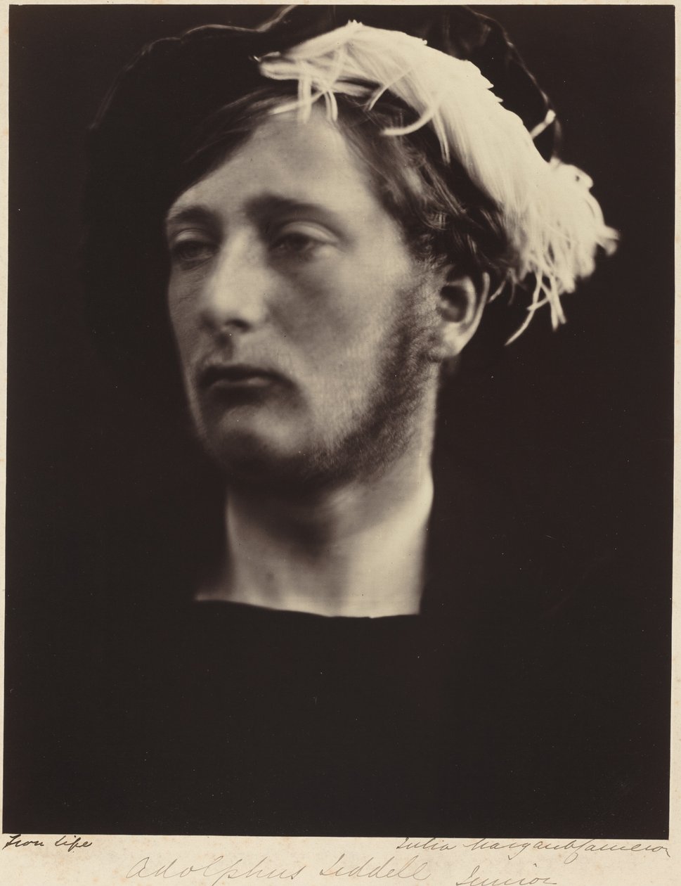 Adolphus Liddell, Junior von Julia Margaret Cameron