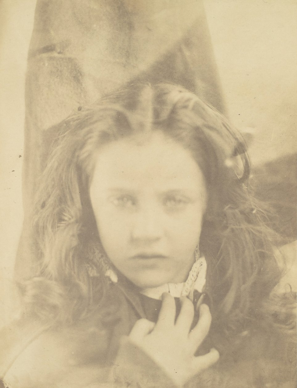 Gänseblümchen von Julia Margaret Cameron