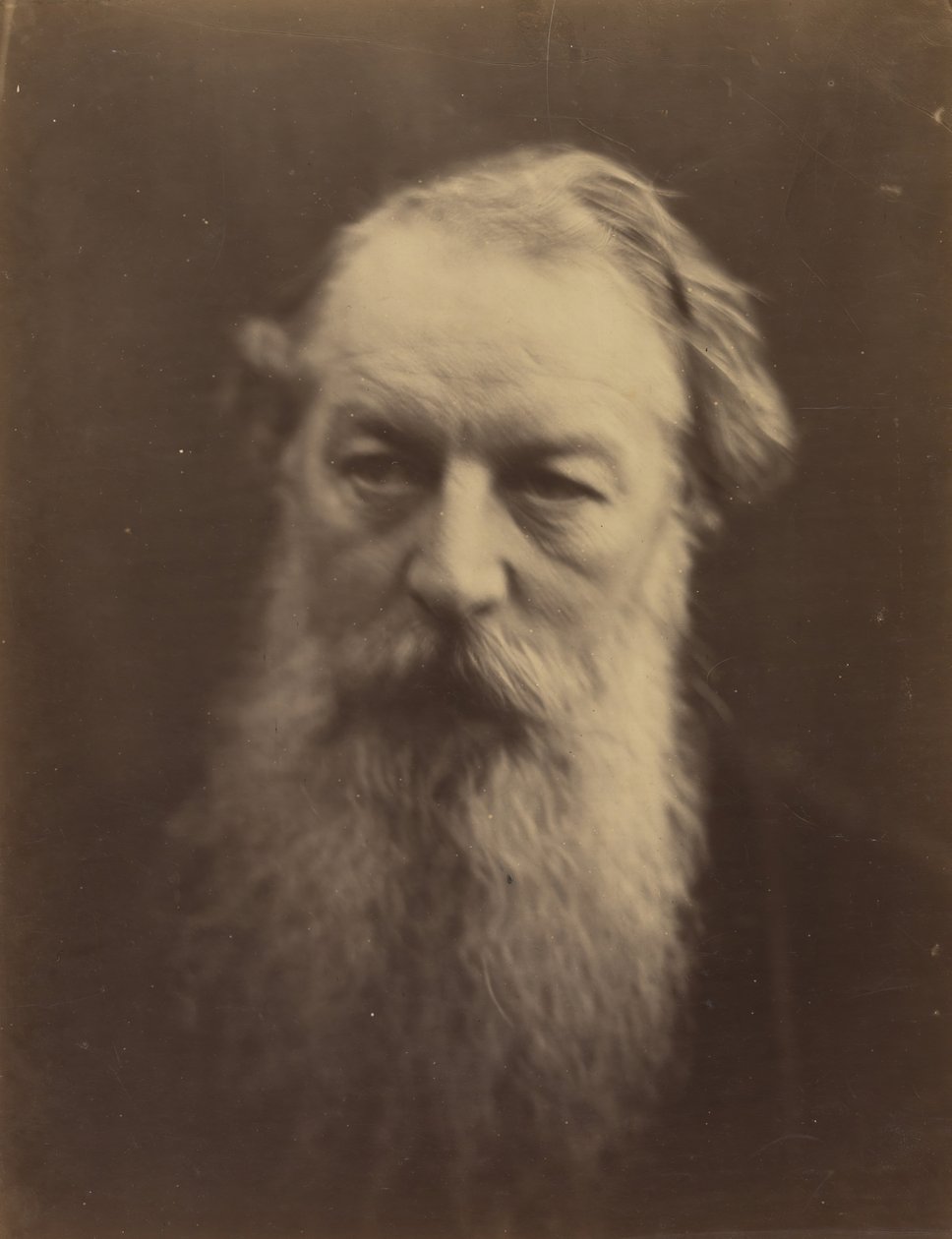 [James Rogers], 1867 von Julia Margaret Cameron