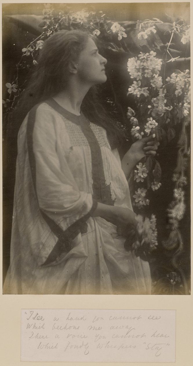 Frühling von Julia Margaret Cameron