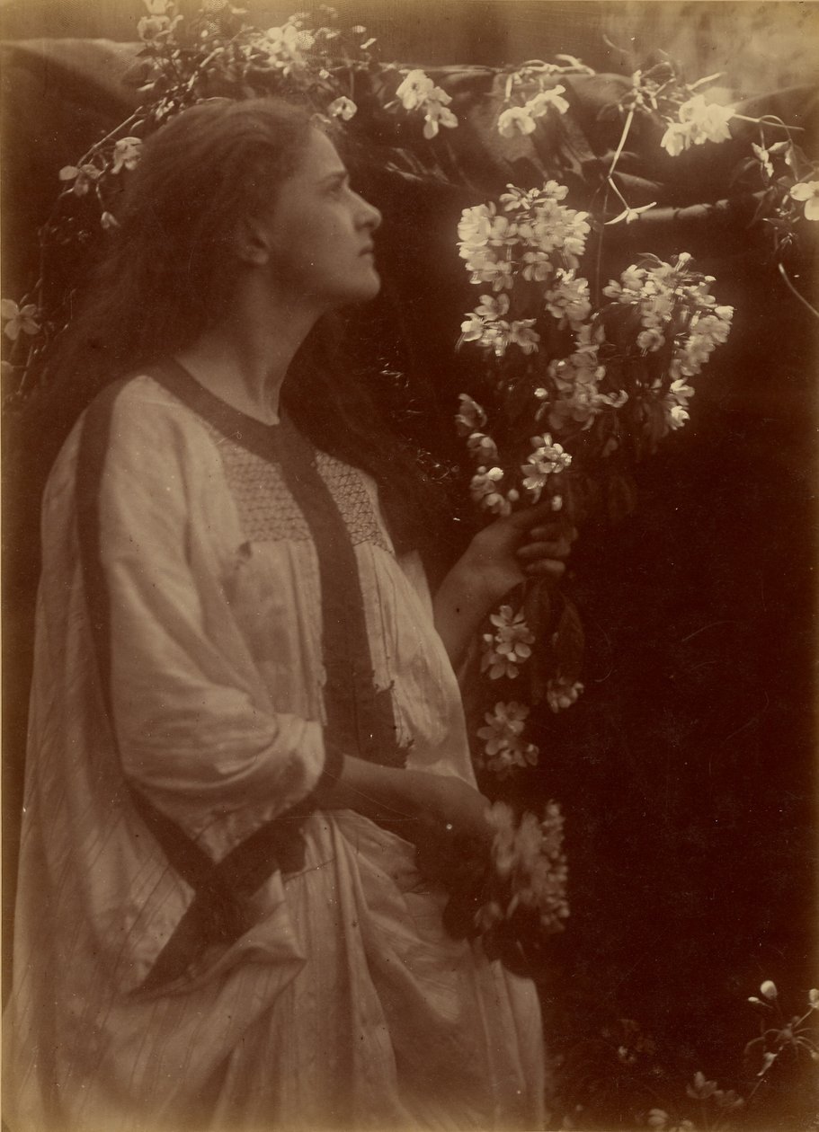 [Frühling] von Julia Margaret Cameron