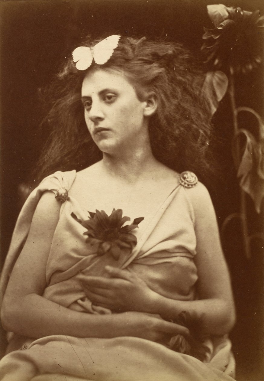 Die Sonnenblume von Julia Margaret Cameron